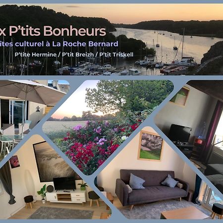Aux Petits Bonheurs, Gites Culturel A La Roche Bernard Férel 外观 照片